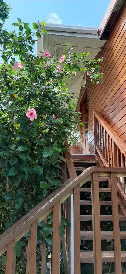 Bungalow Mangifera Proche De La Plage Ле-Діаман Екстер'єр фото